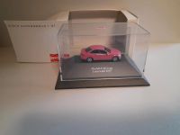 Busch 1/87 Mercedes C Klasse W204 Leserwahl Modell Fahrzeug Pink Saarland - Wadern Vorschau