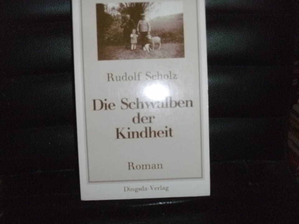 Rudolf Scholz - Die Schwalben der Kindheit in Hamburg