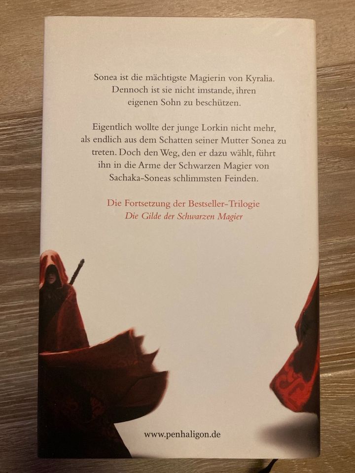 Buch Sonea die Hüterin von Trudi Canavan in Hagen