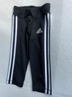 Adidas Trainingshose Jogginghose schwarz Gr. 116 / 2XS Climalite München - Schwanthalerhöhe Vorschau