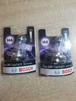 H4 Leuchtmittel von Bosch Schleswig-Holstein - Flensburg Vorschau