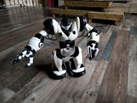Roboter ferngesteuert Spielzeug Bayern - Großostheim Vorschau