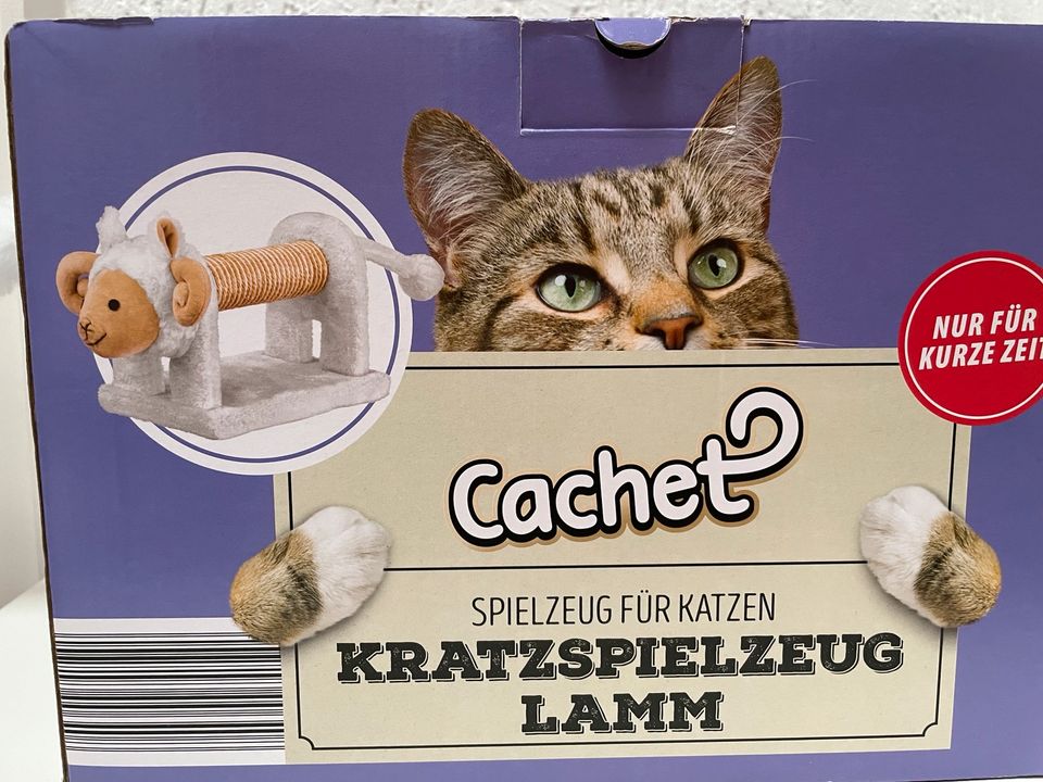 Katzen Kratzspielzeug, Neu in Bochum