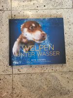 Buch Welpen unter Wasser, Fotos Baden-Württemberg - Konstanz Vorschau