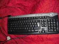 PC Tastatur mit USB Anschluss Dell SK-8125 Hessen - Hainburg Vorschau