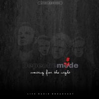 SUCHE Depeche Mode - Waiting for the night crystal vinyl 2LP Essen - Essen-Werden Vorschau