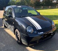 VW LUPO (Bastler Schleswig-Holstein - Schenefeld (Kreis Steinburg) Vorschau