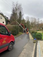Baumfällung, Baumfäller, Baumdienst, Rodung Nordrhein-Westfalen - Hattingen Vorschau