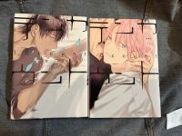 Manga Ten Count Yaoi auf japanisch aus Japan Comic Nordrhein-Westfalen - Alsdorf Vorschau