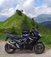 SUZUKI GSX 1250 FA ABS Griffheizung Hurric Touratech Scottoiler Nordrhein-Westfalen - Paderborn Vorschau