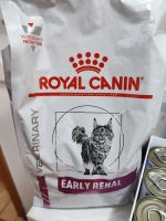 Katzenfutter Niere, Royal Canin, Kattovit Nordrhein-Westfalen - Remscheid Vorschau