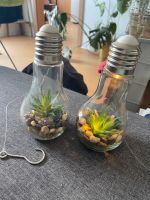 2 Dekolampen mit Pflanzen zum aufhängen Rostock - Lichtenhagen Vorschau