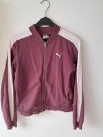 Puma Sportjacke (bordeaux-lila) Nordrhein-Westfalen - Grevenbroich Vorschau