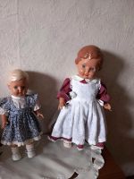 Schildkröt Puppen Nordrhein-Westfalen - Hagen Vorschau