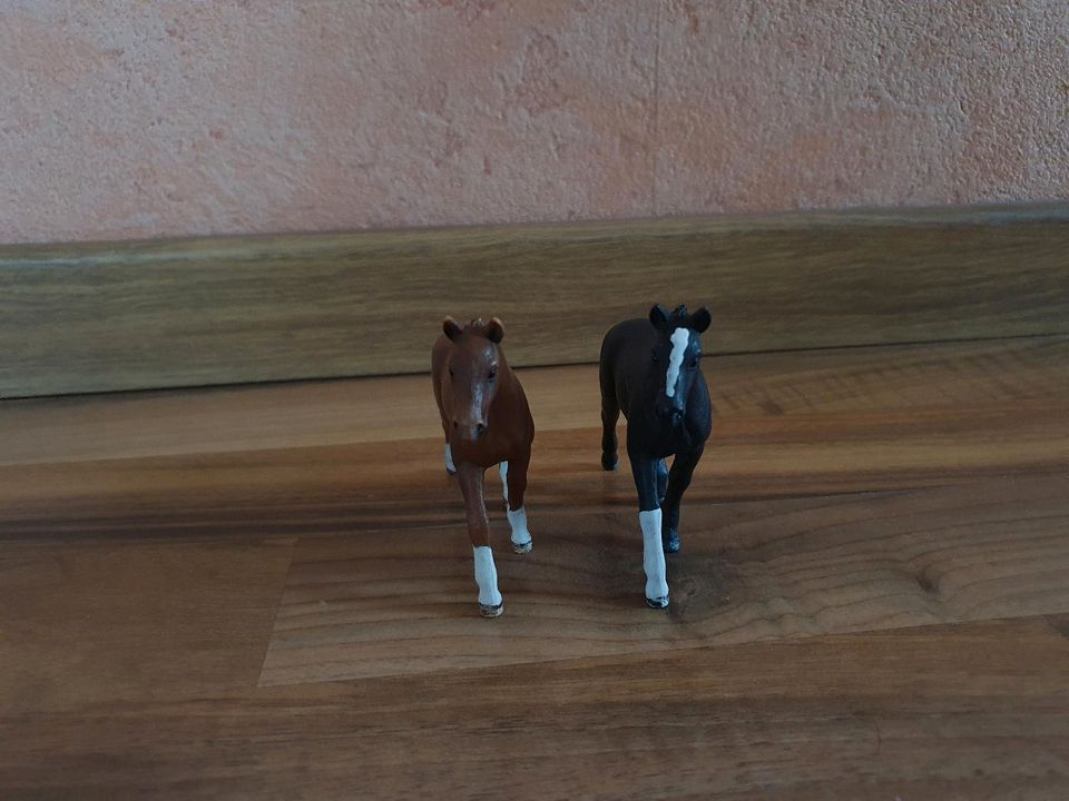 Schleich Pferde im Set mittelbraun und schwarz in Schmalkalden