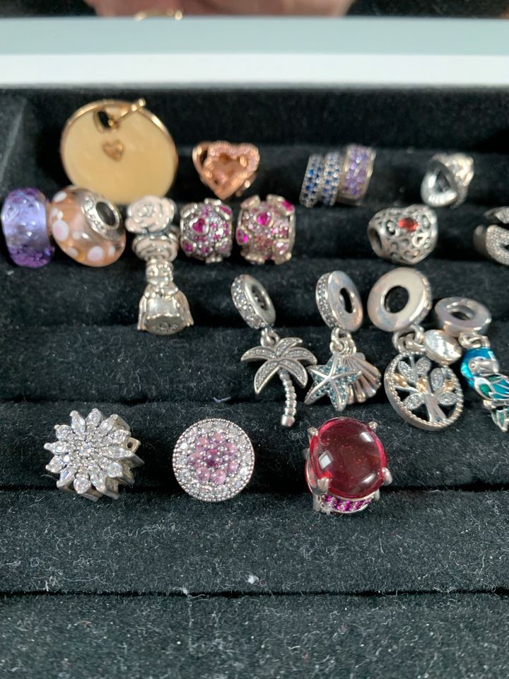 Pandora Charms/Clips in Neumünster