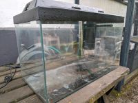 60l Aquarium Nordrhein-Westfalen - Erndtebrück Vorschau