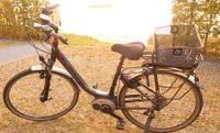 E-Bike Diamant Ubari DLX; RH 45; 28“ Baden-Württemberg - Leutkirch im Allgäu Vorschau