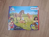 Schleich 42433 - Sarahs Tierbaby-Pflege in OVP Baden-Württemberg - Tiefenbronn Vorschau