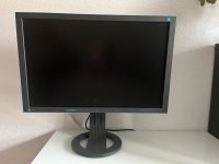 Eizo Monitor FlexScan S2402W schwarz Sachsen-Anhalt - Athenstedt Vorschau