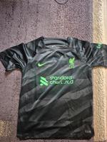 Liverpool Torwart Shirt in der Größe M Bremen - Huchting Vorschau