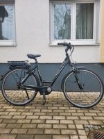 E Bike Pegasus Solero  Bosch Motor Nur 1800 km Bayern - Mainburg Vorschau