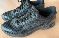 Asics Gel Noosa Tri 11 Laufschuh Gr 41,5 Neuwertig Mecklenburg-Vorpommern - Neubrandenburg Vorschau