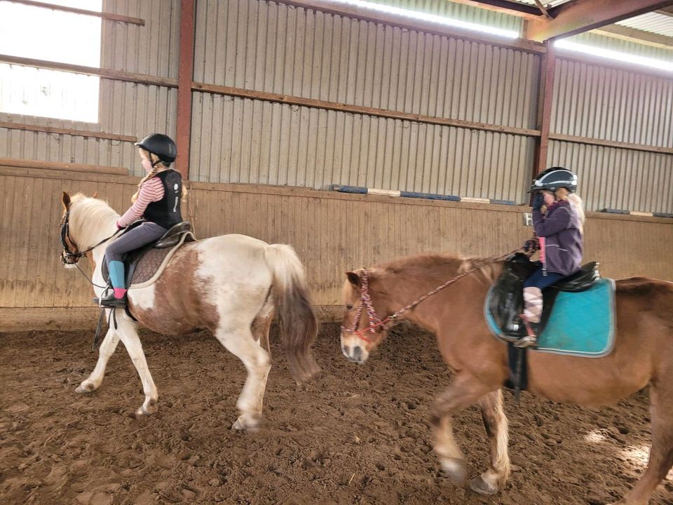 Ferienhaus, Nordsee Nähe, Reiten,angeln, Kutschf. in Hollingstedt b Delve Holst