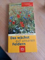 Das wächst auf unseren Feldern Nutzpflanzen und Wildkräuter Niedersachsen - Oetzen Vorschau