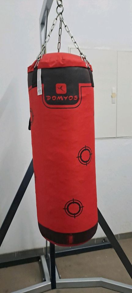 Boxsack mit Boxhandschuhen in Ludwigshafen