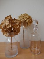 Depot Vase Set transparent Gefäß Glas matt Milchglas Flasche gold Dresden - Leuben Vorschau