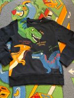 Sweatshirt ⭐️ Gr. 128 ⭐️ C&A ⭐️ Dinosaurier ⭐️ Pullover Thüringen - Kraftsdorf Vorschau