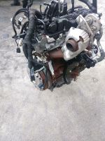 MOTOR Ford Transit CUSTOM 2.0D YMF6 YMFS 130PS FWD 34TKM komplett Sachsen - Dippoldiswalde Vorschau