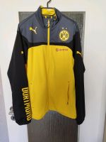 BVB Jacke M Brandenburg - Fürstenwalde (Spree) Vorschau