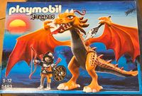 Playmobil Dragons 5483 Bayern - Obersöchering Vorschau