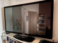 Philips 45 Zoll Full HD Bayern - Siegenburg Vorschau