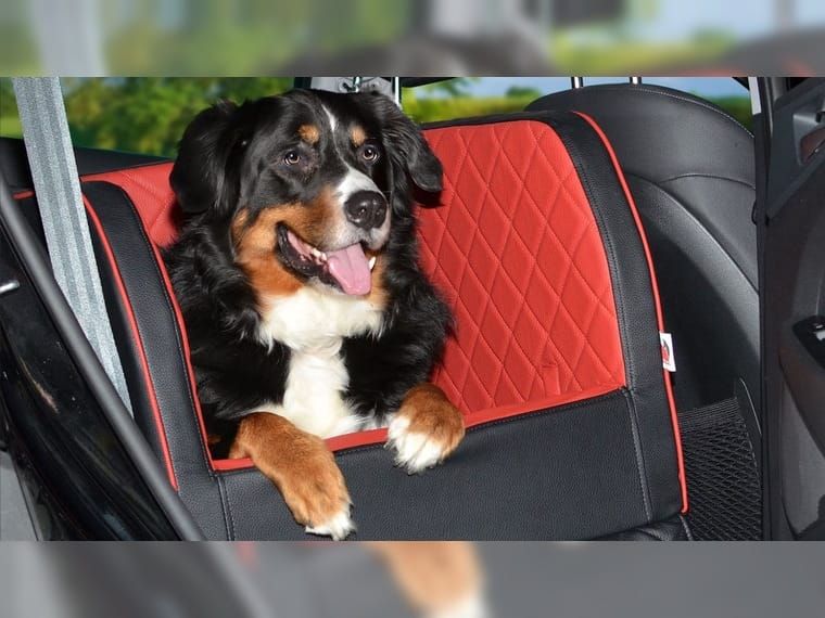 TIERVITAL NATURPRODUKTE - Auto Rücksitz Hundekorb so fährt der