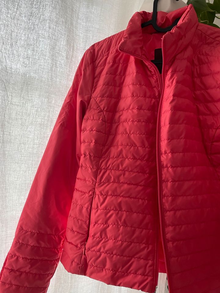 Moncler Jacke Damen in Kassel