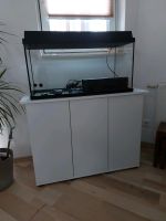 Aquarium 120l Juwel Top Zustand Thüringen - Hohenleuben Vorschau