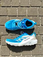 Salomon Trailrunningschuhe Gr.44 neuwertig Hessen - Idstein Vorschau