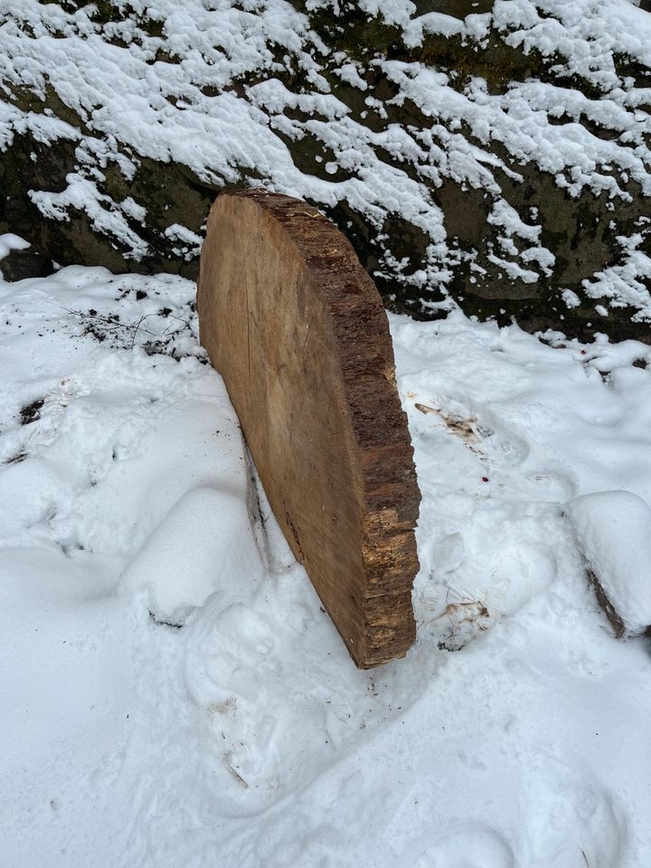 Halbe Baumscheiben Eiche in Grevesmuehlen