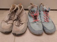 Wildling Barfußschuhe 42 Pegasus Waschbär Sachsen - Großschirma Vorschau