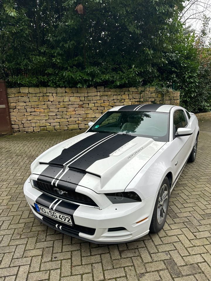 Ford Mustang / Autovermietung/ Auto mieten ab 18 in Ratingen