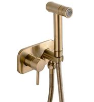 Bidet Handbrause Gold gebürstet Nordrhein-Westfalen - Ochtrup Vorschau