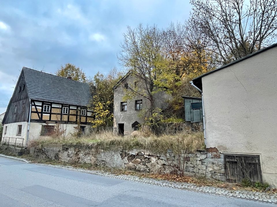 Zwei Häuser zum Preis von einer Garage mieten! in Pulsnitz