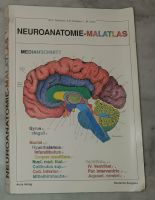 Neuroanatomie Malatlas M.C. Diamond / A.B. Scheibel / L.M. Elson Rheinland-Pfalz - Roth b Hamm Vorschau