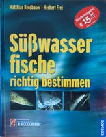 Angelbuch Süßwasserfische richtig bestimmen Nordrhein-Westfalen - Sankt Augustin Vorschau