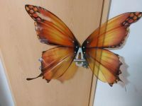 Flügel Schmetterling Elfe Fee Fantasy Baden-Württemberg - Bretzfeld Vorschau