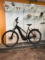 Hercules INTERO I-8 E-Bike ERST 433KM 75NM UVP:3299€ Garantie!TOP Baden-Württemberg - Tettnang Vorschau