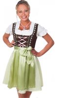 Grün/pink/braunes Dirndl mit Schürze Niedersachsen - Damme Vorschau